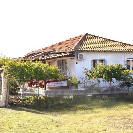 Amarantos Beautiful Garden House Villa Metokhion Patriotikon Eksteriør bilde
